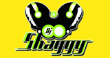 Logo de Dj Shaggy Venezuela