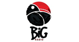 Logo di Big Radio Folk