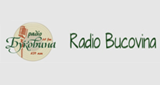 Logotipo de Radio Bucovina