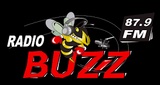 Logo von Buzz FM