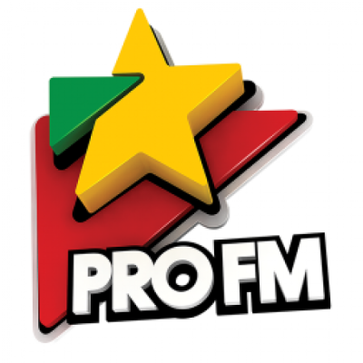 Logo von ProFM RO