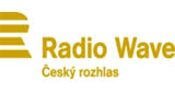 Radio Wave logo