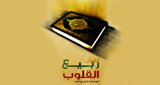 Rabee Al Qloub logo