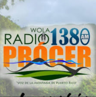 Logo di Procer