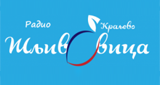Logo von Radio Šljivovica