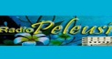 Radio Peleusi logo