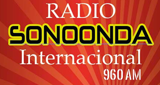 Logotipo de Sonoonda Internacional