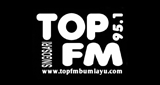 Logo di Top Fm 95.1