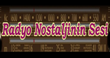 Logotipo de Radyo Nostaljinin Sesi