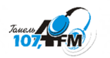 Гомель Радио logo