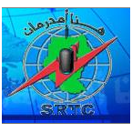 FM100 Sudanese House Radio logo