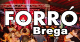 Logotipo de Forro Brega