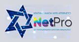 Logo di NetPro Mada Radio
