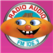 Radio Audio logo