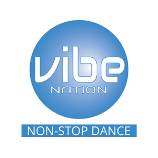 Vibe Nation logo