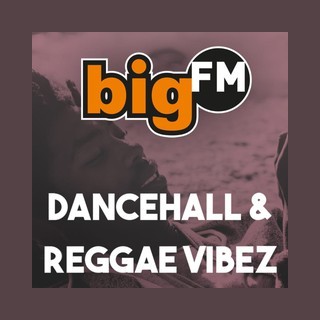 Logo di BigFM Reggae Vibez