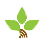 Logotipo de New Life Radio / راديو الحياة الجديدة