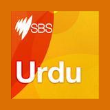 SBS Radio / Urdu logo