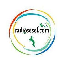 Logo di Radio Diesel