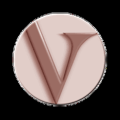 Logo di VIEN THAO Radio