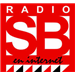 Logo for Radio San Borondón