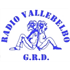Radio Vallebelbo logo