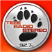 Tele Radio Stereo logo