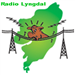Logo di Radio Lyngdal / Din Nærradio