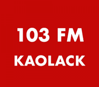 RTS Kaolack 103 FM logo