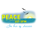PEACE 107.5 FM logo