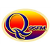 Logo di Wice QFM
