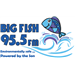 Logotipo de Big Fish 95.5