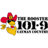 Logotipo de Rooster 101.9