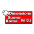 Logotipo de Dimensione Suono Roma