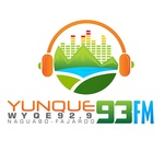 Logo di Yunque 93 / WYQE