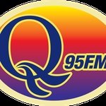 Logo di Wice QFM