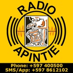 Logo di Radio Apintie