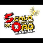 Radio Scala de Oro logo