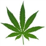 Logo di Ambiance Reggae