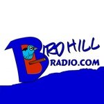 Logotipo de Birdhill Radio