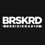 Berisik Radio logo
