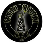 Logo von Radio Projekti 21 102.9 FM