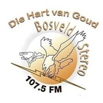 Logo di Bosveld Stereo