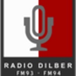 Logotipo de Radio Dilber 93