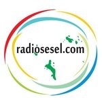 Logo di Radiosesel