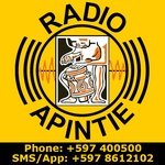 Logo di Apintie Radio