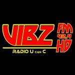 Logo de Vibz FM