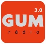Logo von GUM FM Aran