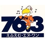 FM/N1 logo