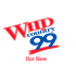 Logotipo de Wild Country 99